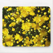 A Multitude of Yellow Mums Muismat (Voorkant)