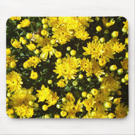 A Multitude of Yellow Mums Muismat