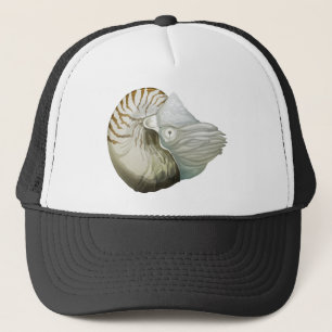 A nautilus trucker pet