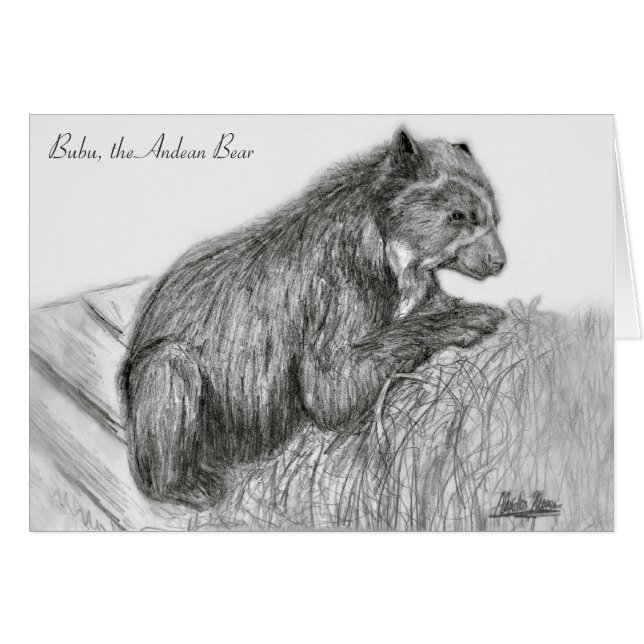 A. Neuman-zakkaart (Voorkant Horizontaal)