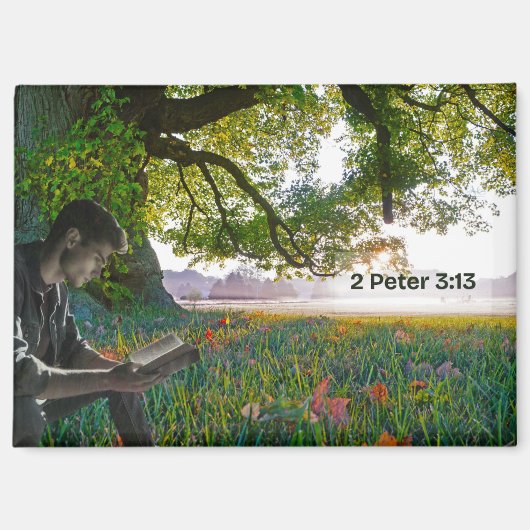 A New World Magnet (Voorkant)