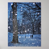 A Nighttime Walk Through Winter Snow Poster (Voorkant)