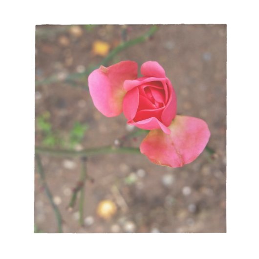 A November rosebud Notitieblok (Voorkant)