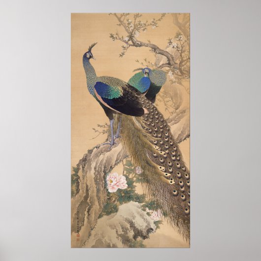 A Pair of Peacocks in Spring by Imao Keinen Poster (Voorkant)