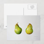 A Pair of Pears 1997 Briefkaart (Voorkant / Achterkant)