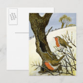 A Pair of Robins Briefkaart (Voorkant / Achterkant)