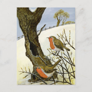 A Pair of Robins Briefkaart