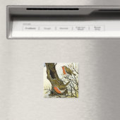 A Pair of Robins Magneet (Insitu (Vaatwasser))