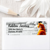 A-PAL getint Sinaasappel Tabby Cat Painting Custom Etiket (Insitu)