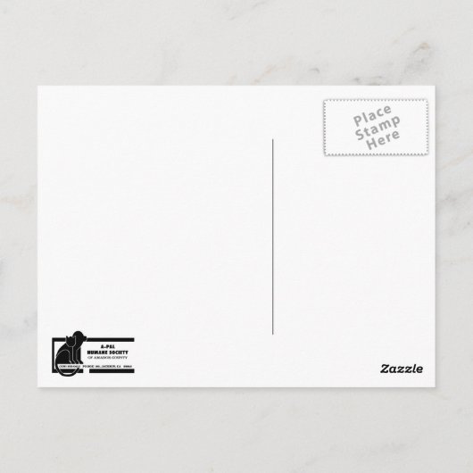 A-PAL - Silver Tabby Kat met blauwe ogen Sluiten Briefkaart (Achterkant)