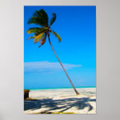 A Palm Poster (Voorkant)