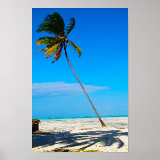 A Palm Poster (Voorkant)