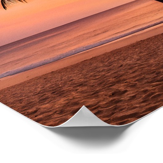A palm tree stands alone on the beach at sunset poster (Hoek)