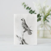 A Parrot, 1786 Briefkaart (Staand voorkant)