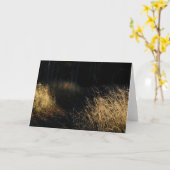 A path through a forest golden grass in sunlight kaart (Gele Bloem)