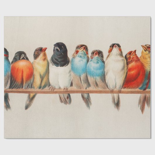 A Perch of Birds, 1880 by Hector Giacomelli Cadeaupapier (Vlak)