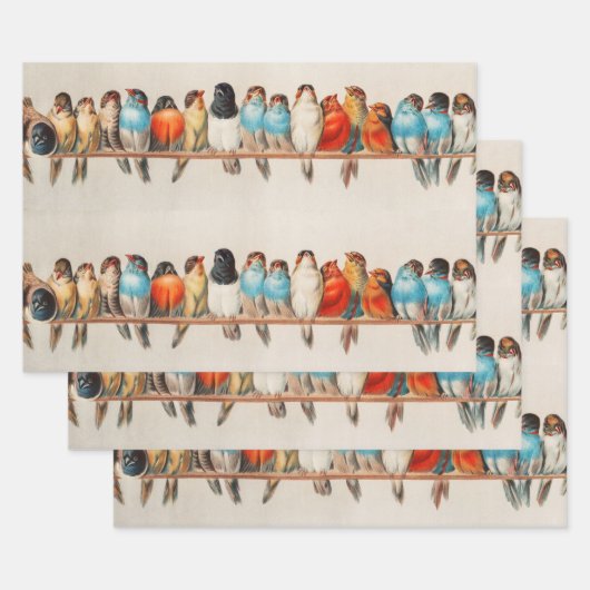 A Perch of Birds, 1880 by Hector Giacomelli Inpakpapier Vel (Set)