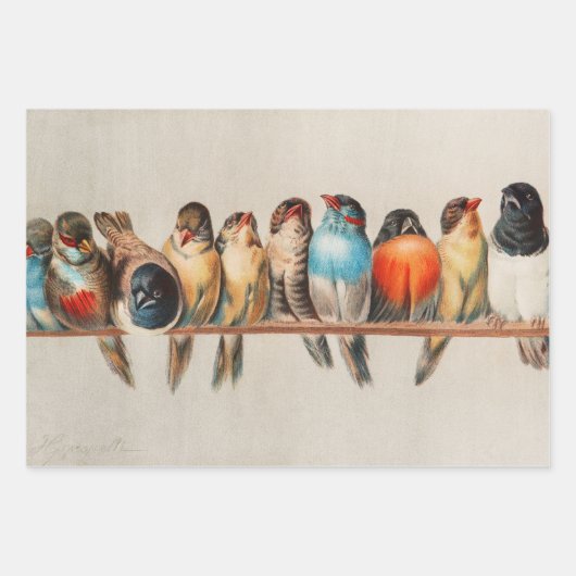 A Perch of Birds, 1880 by Hector Giacomelli Inpakpapier Vel (Voorkant 2)