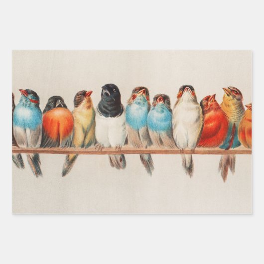 A Perch of Birds, 1880 by Hector Giacomelli Inpakpapier Vel (Voorkant)