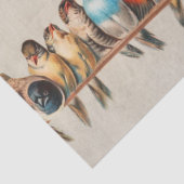 A Perch of Birds, 1880 by Hector Giacomelli Tissuepapier (Detail)