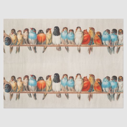 A Perch of Birds, 1880 by Hector Giacomelli Tissuepapier (Voorkant)