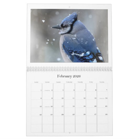 A Photographer's Perspective  Kalender (Feb 2026)