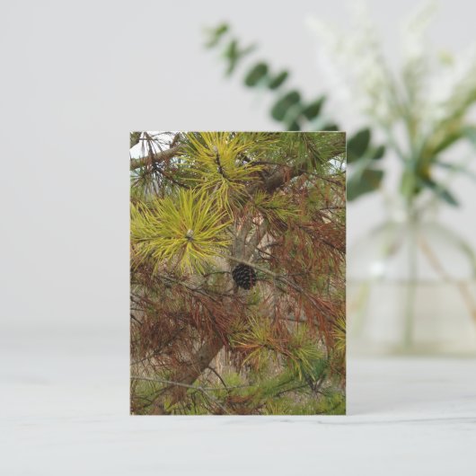 A Pinecone Briefkaart (Staand voorkant)