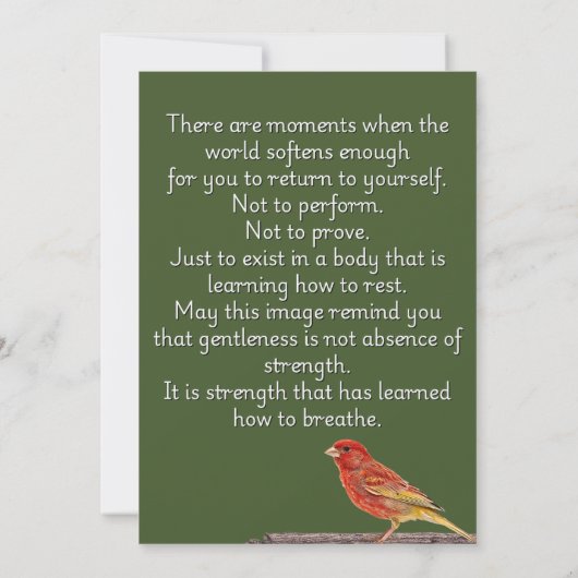 A Place to Exhale (Achterkant)