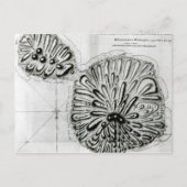 A Plan of King Georges Island of Otheite, 1769 Briefkaart (Voorkant)