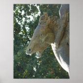 A Plaza Fountain Horse Poster (Voorkant)