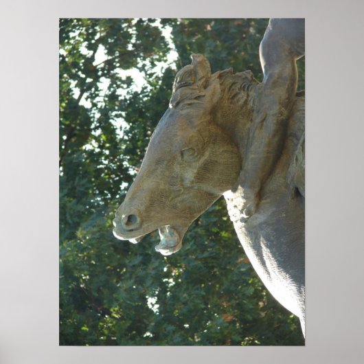 A Plaza Fountain Horse Poster (Voorkant)