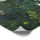 A Plaza Fountain Horse Poster (Hoek)