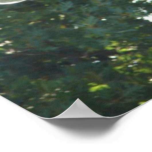 A Plaza Fountain Horse Poster (Hoek)