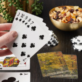 a pokerkaarten (Insitu)