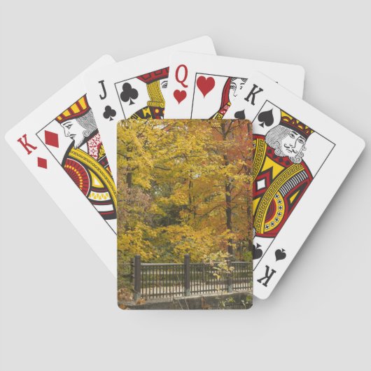 a pokerkaarten (Achterkant)