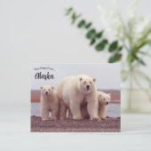 A Polar Bear Mother With Her Cubs in Alaska Briefkaart (Staand voorkant)
