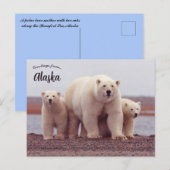 A Polar Bear Mother With Her Cubs in Alaska Briefkaart (Voorkant / Achterkant)