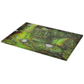 A Pond with Unpure Thoughts Snijplank (Hoek)