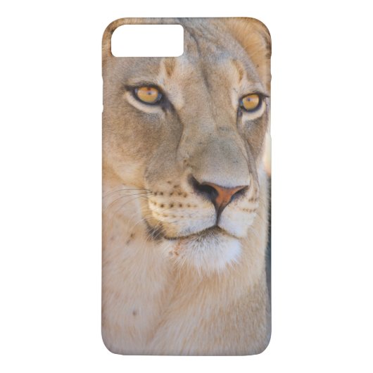 A portret of a Lioness looking into the afstand Case-Mate iPhone Case (Achterkant)