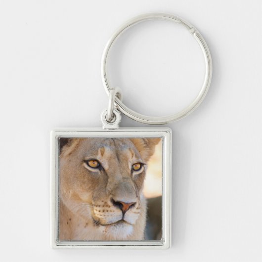 A portret of a Lioness looking into the afstand Sleutelhanger (Voorkant)