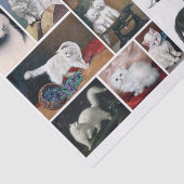 A Pretty Mix of White and Black Cats & Kittens Tissuepapier (Detail)