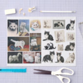 A Pretty Mix of White and Black Cats & Kittens Tissuepapier (Craft)