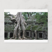 a prohm tempel in cambodja briefkaart (Voorkant)