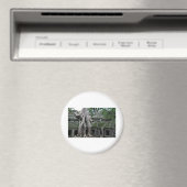 a prohm tempel in cambodja magneet (Insitu (Vaatwasser))