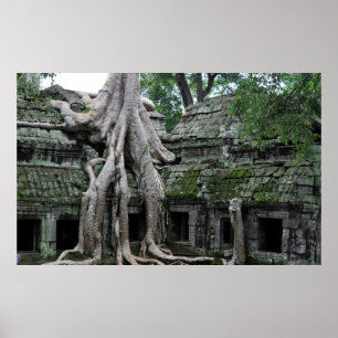 a prohm tempel in cambodja poster