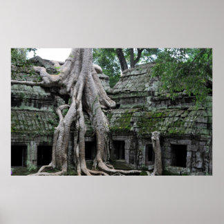 a prohm tempel in cambodja poster