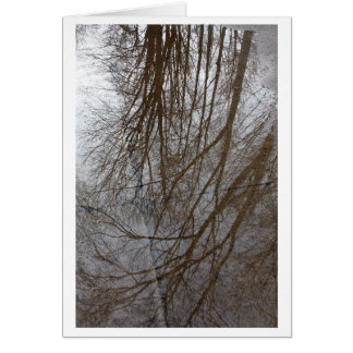 "A Puddle of Trees" - Fotokunst
