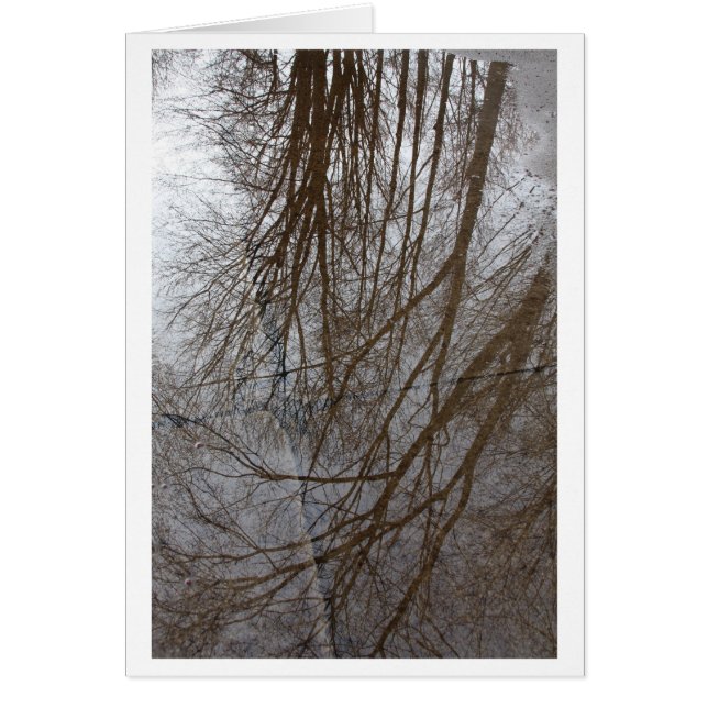 "A Puddle of Trees" - Fotokunst (Voorkant)