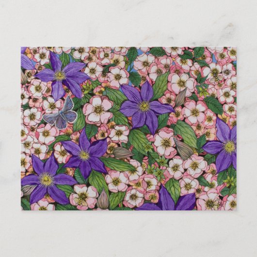A Purple Patch 2011 Briefkaart (Voorkant)