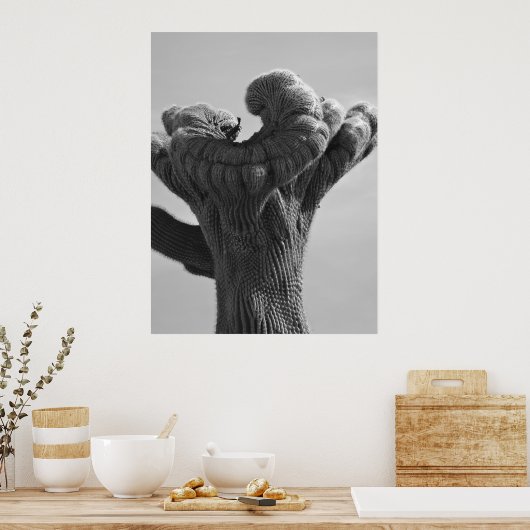 A Rare Saguaro Cactus Poster (Keuken)